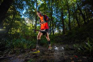 BIB: 
                            <button type="button" onclick="openModal(19229733)" class="btn btn-primary btn-sm float-right btn-popup" data-toggle="modal" data-target=".modal-high-quality">
                        <i class="fas fa-shopping-cart"></i> Add to Cart
                    </button>
                                            <button type="button" onclick="isThisMe(19229733, true)" class="btn btn-success btn-sm float-right btn-popup btn-isme hidden" data-toggle="tooltip" data-placement="bottom" title="นี่คือรูปของคุณใช่ไหม คลิกที่นี่เพื่อเอาเข้าอัลบั้ม">
                        <i class="fas fa-plus"></i> Add to album
                    </button>
                    <button type="button" onclick="isThisMe(19229733, false)" class="btn btn-warning btn-sm float-right btn-popup btn-isnotme hidden">
                        <i class="fas fa-ban"></i> Remove from album
                    </button>